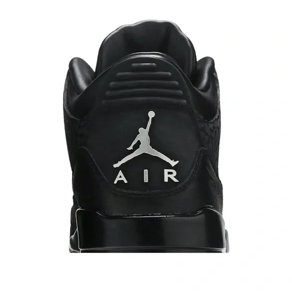 Men's Air Jordan 3 - Picture 2 of 11